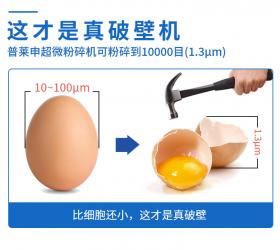 大型超微破壁粉碎機(jī)，為何要選普萊申？